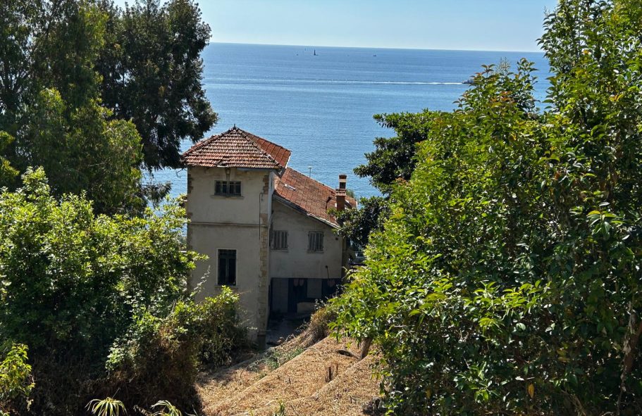 whatsapp image 2025 05 28 à 10.42.59 3cd9ee7b